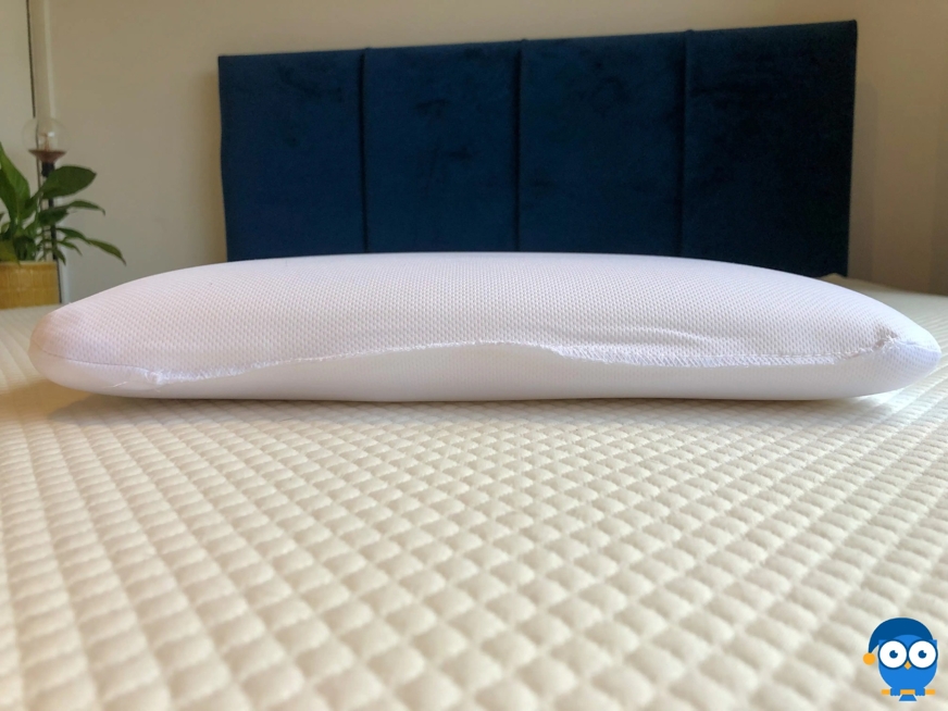 panda toddler pillow without cover